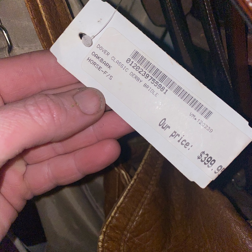 Bridle - Picture 2 of 2